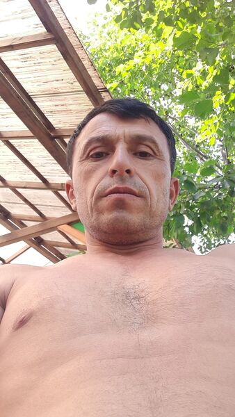  -,   , 46 ,   ,   