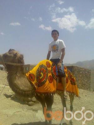 ���������� �������, ���� ������� 90 999 97 81, 34 ����, ������������ ��� ������, ����� � ���������, c�������� ���������