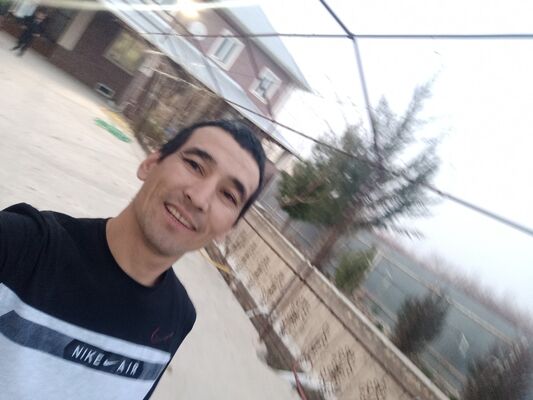  ,   Akademik, 40 ,   ,   , c 