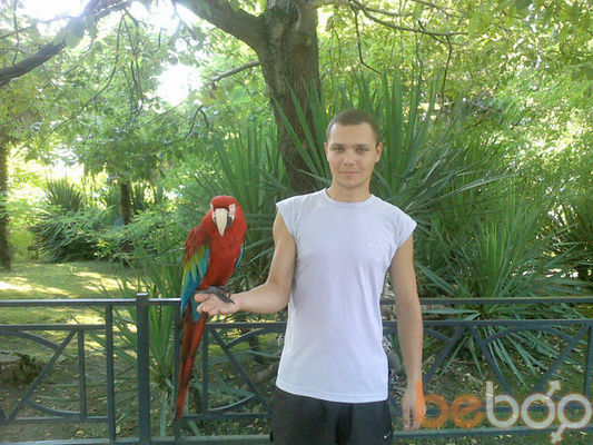  ,   Kokoc, 33 ,   