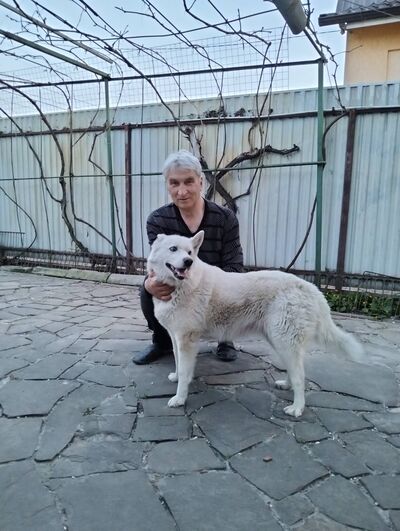   ,   , 66 ,   ,   