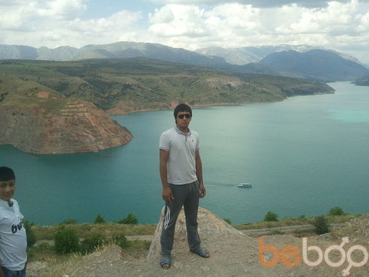  3983898  SHERBEK, 34 ,    