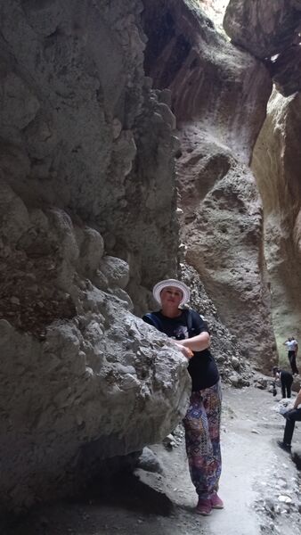  -,   , 59 ,     , c , 