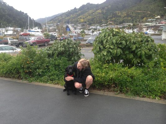  ,   , 60 ,   ,   , c , 