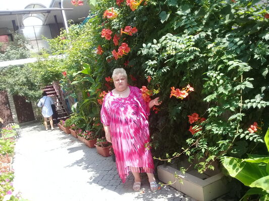  ,   , 57 ,  