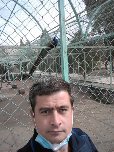  ,   , 41 ,   ,   , c , 