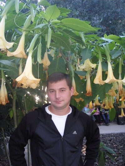  ,   , 39 ,   