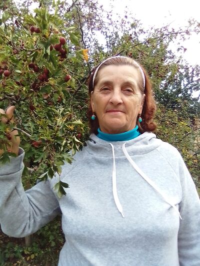  ,   , 65 ,  