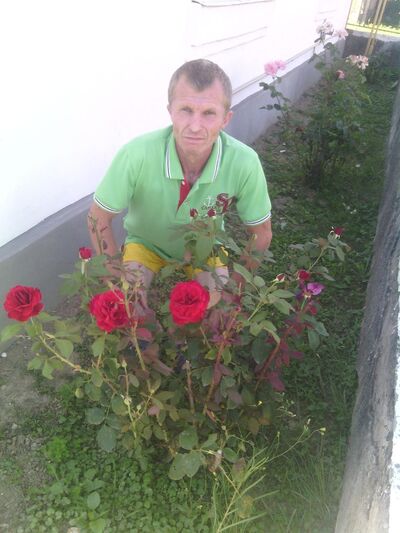  ,   , 61 ,   