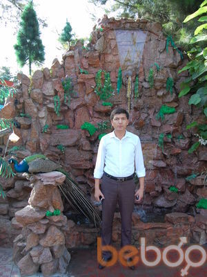  ,   Bek, 49 ,   ,   , c 