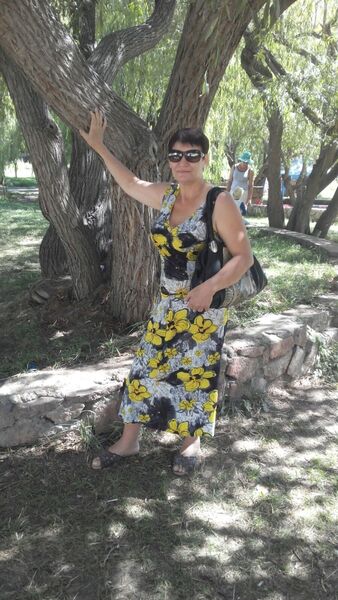  ,   , 58 ,  