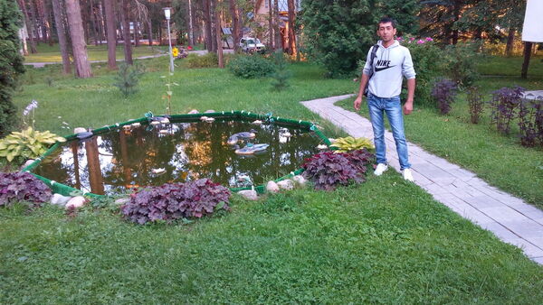  -,   , 38 ,   ,   , c 