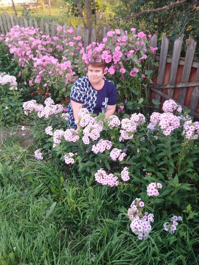  ,   , 54 ,   ,   
