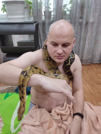  ,   , 44 ,     , c 
