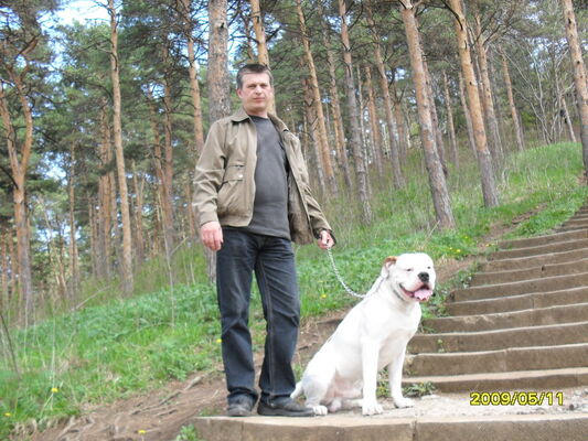  ,   , 58 ,   