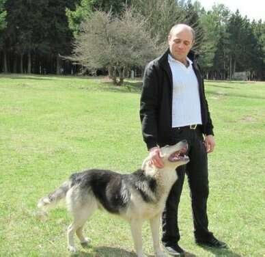  ,   Godunov, 46 ,   ,   , c 