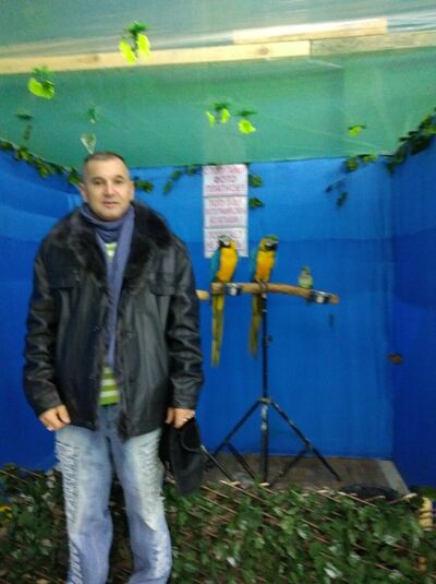  ,   , 56 ,   , c , 