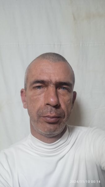  ,   , 41 ,   , c , 