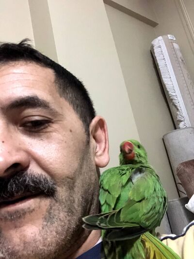  ,   , 45 ,   ,   