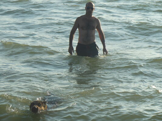  ,   Avto, 47 ,   