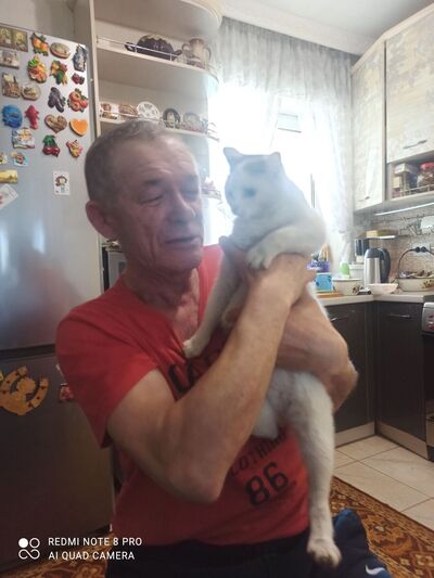 ,   , 65 ,   ,   