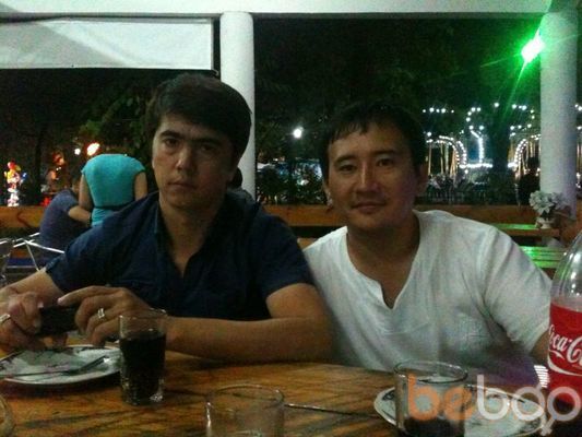  ,   BOSS  TERROR, 41 ,   ,   , c 