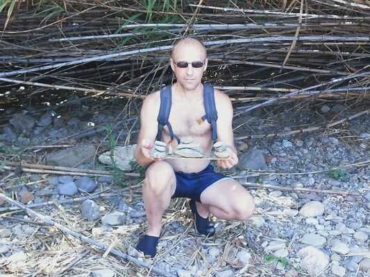  ,   Seregey, 52 ,   ,   , c 