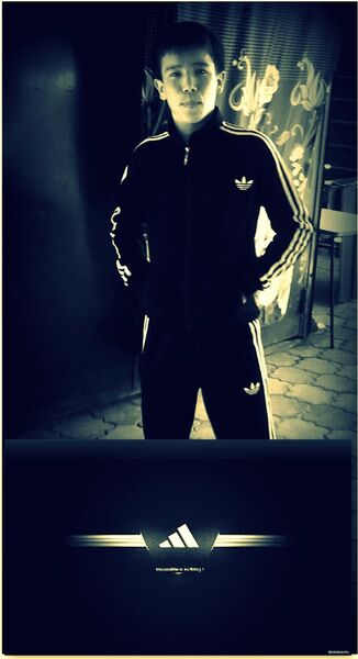  ,    1996, 29 ,   