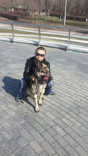  ,   87026253176, 37 ,   