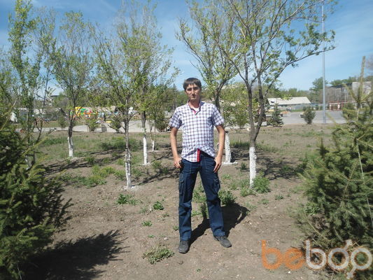 ���������� ���������, ���� ������� Chester, 37 ���, ������������ 