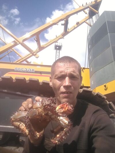  --,   , 44 ,   ,   