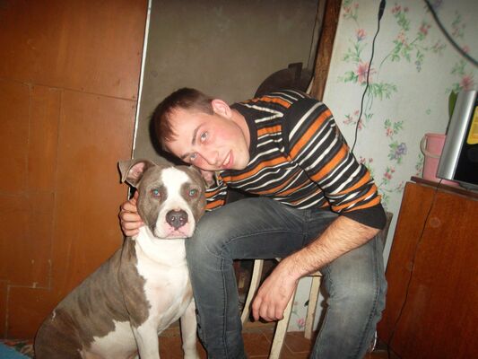  ,   Art, 34 ,   ,   