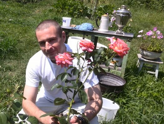  ,   , 44 ,   