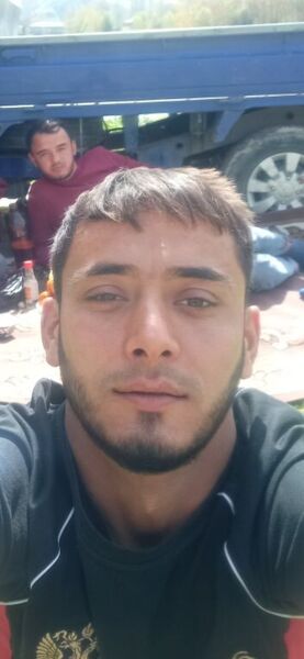  ,   Daler, 31 ,   ,   