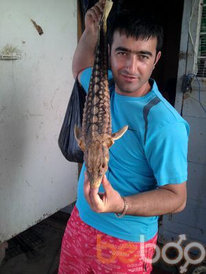  ,   Asef, 43 ,   
