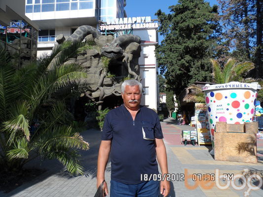  ,   Volodey, 66 ,   