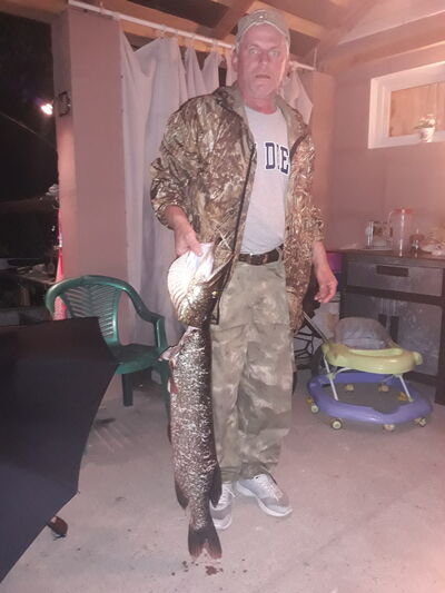  -,   , 55 ,   