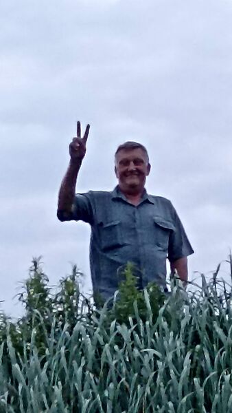  ,   , 60 ,   ,   