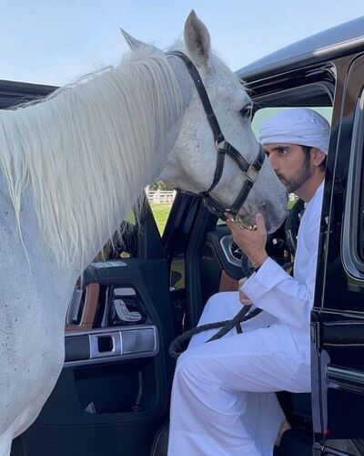  ,   Hamdan, 42 ,     , c 