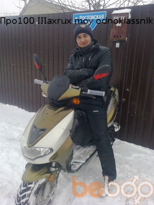  ,   Shaxrux, 31 ,     , c 