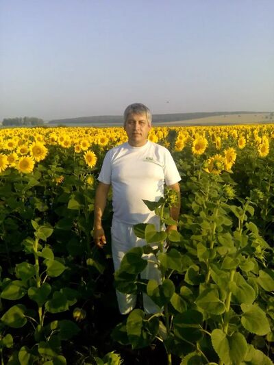  ,   , 53 ,   ,   