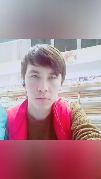  -,   , 29 ,   ,   , c 