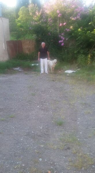  ,   Giorgi, 67 ,   ,   , c 