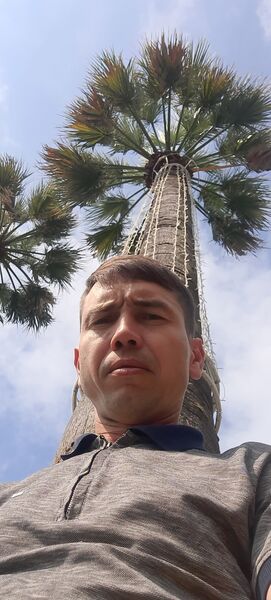   ,   Ilyus, 37 ,     , c 