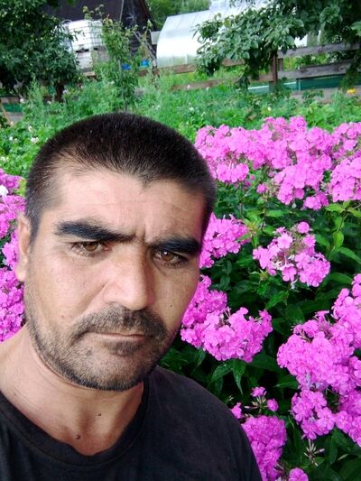  -,   , 39 ,   ,   
