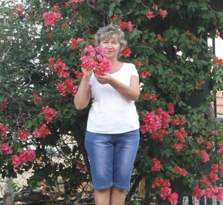  ,   , 68 ,     