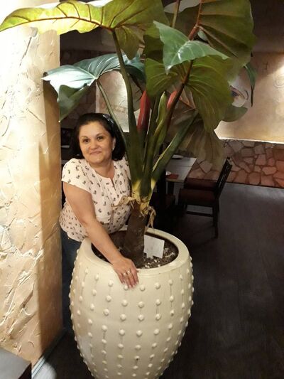  ,   , 55 ,  