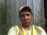  ,   GOLD LION, 51 ,   ,   , c 