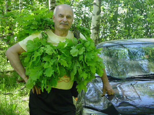   ,   , 57 ,  