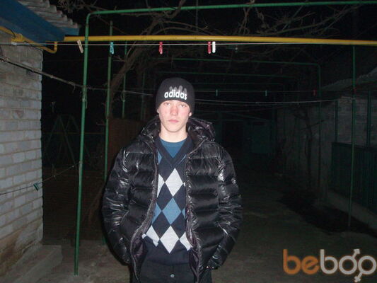  ,   GRIZLI, 33 ,     , c 